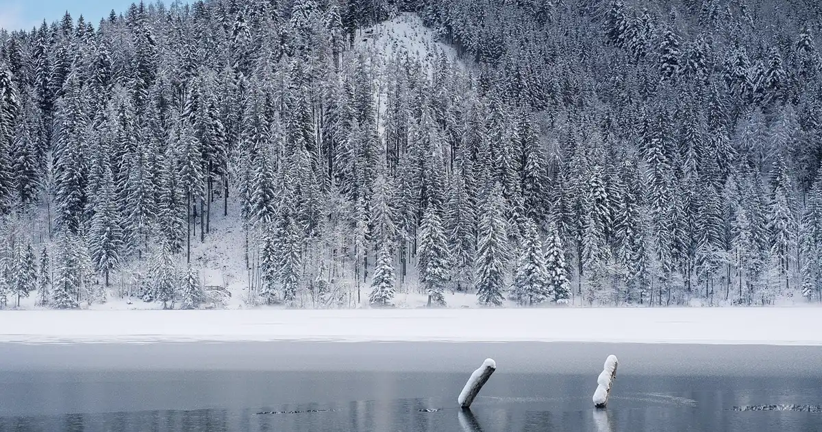 프로젝트 겨울이었다